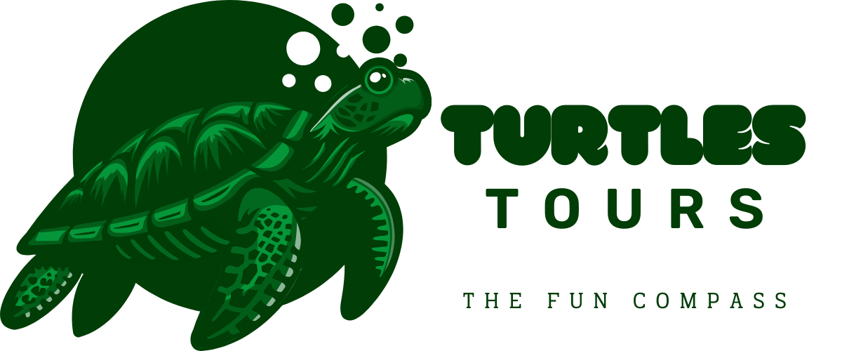 Turtles Tours