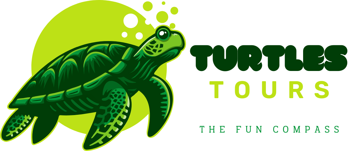 Turtles Tours